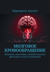 Скачать Мозговое кровообращение:. Понятие, анатомия, влияние разных факторов и пути улучшения бесплатно