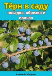 Скачать Тёрн в саду посадка, обрезка и польза бесплатно