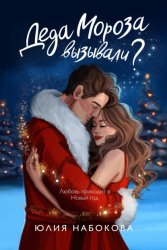 Скачать Деда Мороза вызывали? бесплатно