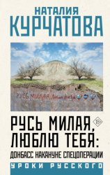 Скачать Русь милая, люблю тебя: Донбасс накануне спецоперации бесплатно