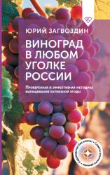 Скачать Виноград в любом уголке России. Проверенная и эффективная методика выращивания капризной ягоды бесплатно