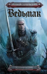 Скачать Последнее желание. Меч предназначения бесплатно