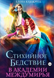 Скачать Стихийное бедствие в Академии Междумирья бесплатно