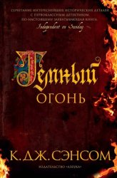 Скачать Темный огонь бесплатно