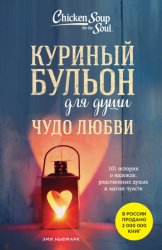 Скачать Куриный бульон для души. Чудо любви. 101 история о надежде, родственных душах и магии чувств бесплатно