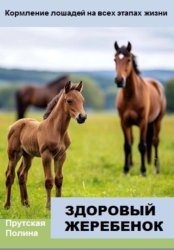 Скачать Кормление лошадей на всех этапах жизни бесплатно