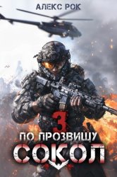 Скачать По прозвищу «Сокол». Том 3 бесплатно