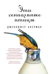 Скачать Эти гениальные птицы бесплатно
