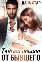 Скачать Тайный малыш от бывшего бесплатно