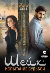 Скачать Шейх. Испытание судьбой бесплатно