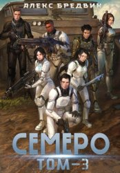 Скачать Семеро. Том 3 бесплатно