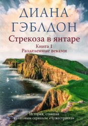 Скачать Стрекоза в янтаре. Книга 1. Разделенные веками бесплатно