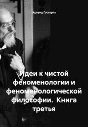 Скачать Идеи к чистой феноменологии и феноменологической философии. Книга третья бесплатно