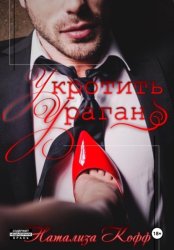 Скачать Укротить ураган бесплатно