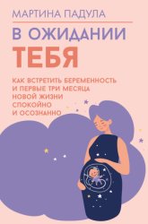 Скачать В ожидании тебя. Как встретить беременность и первые три месяца новой жизни спокойно и осознанно бесплатно