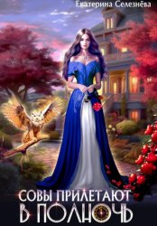 Скачать Совы прилетают в полночь бесплатно