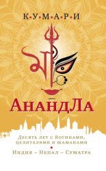 Скачать АнандЛа. Десять лет с йогами, целителями и шаманами. Индия – Непал – Суматра бесплатно