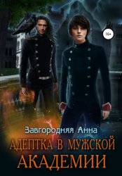 Скачать Адептка в мужской академии бесплатно
