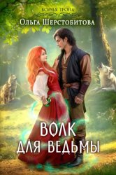 Скачать Волк для ведьмы бесплатно