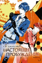 Скачать Настоящее пробуждение. Real Awakening. Книга 3 бесплатно