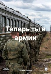 Скачать Теперь ты в армии бесплатно
