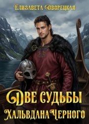 Скачать Две судьбы Хальвдана Черного бесплатно