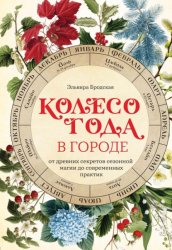 Скачать Колесо Года в городе: от древних секретов сезонной магии до современных практик бесплатно