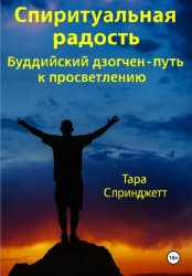 Скачать Спиритуальная радость Буддийский дзогчен – путь к просветлению бесплатно