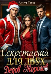 Скачать Секретарша для двух Дедов Морозов бесплатно
