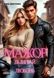Скачать Мажор, выиграй любовь! бесплатно
