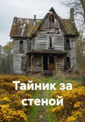 Скачать Тайник за стеной бесплатно