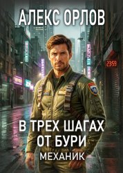 Скачать В трех шагах от бури. Механик бесплатно