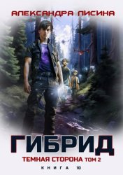 Скачать Гибрид. Книга 10. Темная сторона. Том 2 бесплатно