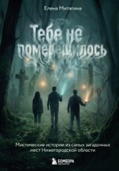 Скачать Тебе не померещилось. Мистические истории из самых загадочных мест Нижегородской области бесплатно