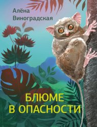 Скачать Блюме в опасности бесплатно