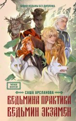 Скачать Ведьмина практика. Ведьмин экзамен бесплатно