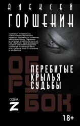 Скачать Перебитые крылья судьбы бесплатно