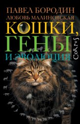 Скачать Кошки, гены и эволюция бесплатно