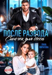 Скачать После развода. Сыночек для босса бесплатно