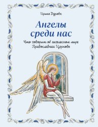 Скачать Ангелы среди нас. Что говорит об ангельском мире Православная Церковь бесплатно