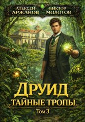 Скачать Друид. Том 3. Тайные тропы бесплатно