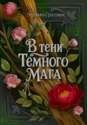 Скачать В Тени Темного Мага бесплатно