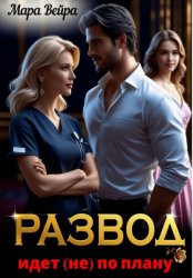 Скачать Развод идет (не) по плану бесплатно