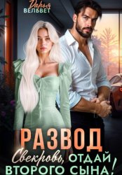 Скачать Развод. Свекровь, отдай второго сына! бесплатно