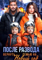 Скачать После развода. Вернуть семью на Новый год бесплатно