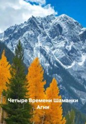 Скачать Четыре Времени Шаманки Агни бесплатно
