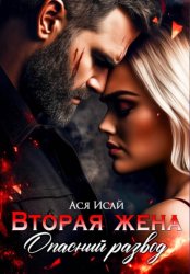 Скачать Вторая жена. Опасный развод бесплатно