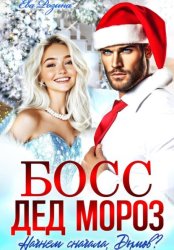 Скачать Босс – Дед Мороз. Начнем сначала, Дымов? бесплатно