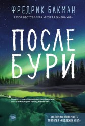 Скачать После бури бесплатно