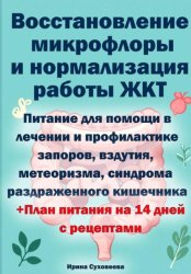 Скачать Восстановление микрофлоры и нормализация работы ЖКТ + план питания на 14 дней с рецептами бесплатно